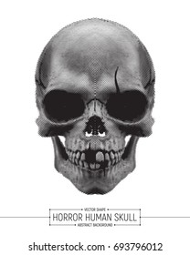 Vector Human Horror Skull Art Illustration Isolated on White Background