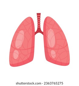 Vector human internal organ with lungs.