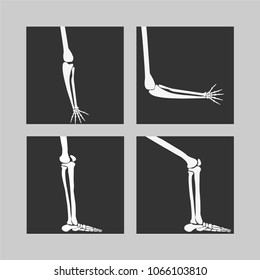 vector human knee and foot leg and hands arms in a bent and unbent view1