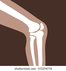 Vector Human Knee Joint Side View