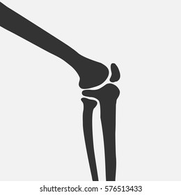 Vector Human Knee Joint Side View