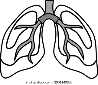 Vector of human lungs for your education and business purposes.