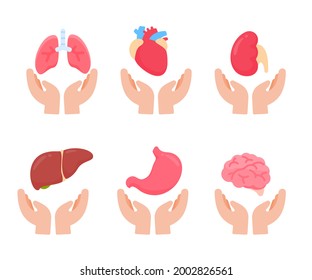 Vector human organs. Human body internal parts Concept of study of body systems.