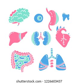 Vector human organs icon. Nation donor day. Donate and Transplantation organs. Vector flat design
