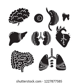 Vector human organs icon. Nation donor day. Donate and Transplantation organs. Vector flat design