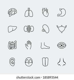 Vector human organs icons set