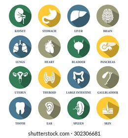 Vector Human Organs Icons Set