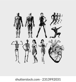 Vector Human Silhouettes, Skeleton, heart, grunge, anti-design, streetwear, woman, girls, people asset pack, isolated graphic set, illustration