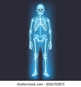 Vector Human Skeleton. X-ray Illustration on Dark Background