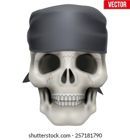 Vector Human skull with bandana on head. Illustration isolated on background