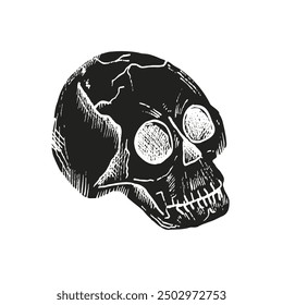 Vector human skull with black eyes. Hand painted linear illustration. Graphic monochrome art for tattoo, anatomy scary face for halloween, horror. Isolated on background. For designers, The day of the