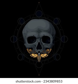 Vector human skull and death head moth