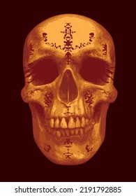 vector human skull with folk indian ornament. Graphic print for clothes, fabric, wallpaper, wrapping paper, design element for halloween party