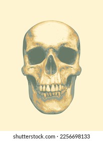 vector human skull. Graphic print for clothes, fabric, wallpaper, wrapping paper, design element for halloween party