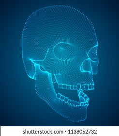 vector human skull on color background. a symbol of death, halloween, the day of the dead and hacker attacks