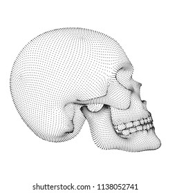 vector human skull on color background. a symbol of death, halloween, the day of the dead and hacker attacks