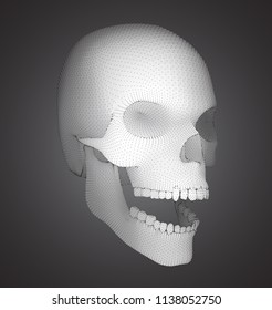 vector human skull on color background. a symbol of death, halloween, the day of the dead and hacker attacks