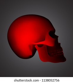 vector human skull on color background. a symbol of death, halloween, the day of the dead and hacker attacks