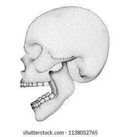 vector human skull on color background. a symbol of death, halloween, the day of the dead and hacker attacks