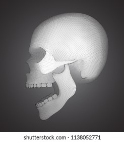 vector human skull on color background. a symbol of death, halloween, the day of the dead and hacker attacks