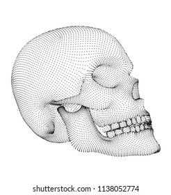 vector human skull on color background. a symbol of death, halloween, the day of the dead and hacker attacks