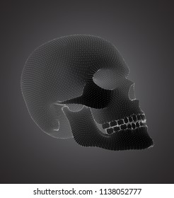 vector human skull on color background. a symbol of death, halloween, the day of the dead and hacker attacks