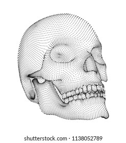 vector human skull on color background. a symbol of death, halloween, the day of the dead and hacker attacks