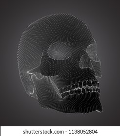 vector human skull on color background. a symbol of death, halloween, the day of the dead and hacker attacks