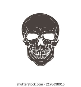 Calavera humana vectorial sobre fondo blanco