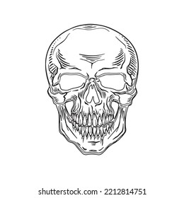 Vector human skull on white background