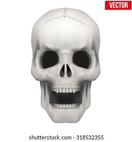 Vector Human skull with open mouth. Illustration isolated on white background