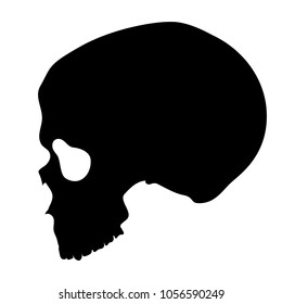 Vector Human Skull Side View Silhouette