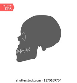 Vector human skull side view silhouette. eps10