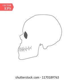 Vector human skull side view silhouette. eps10