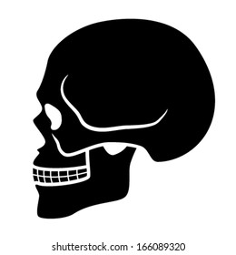 Vector Human Skull Symbol - Side View