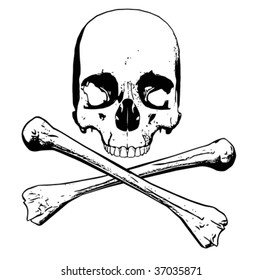 Vector of human skull - three separate parts