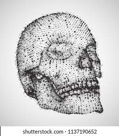 vector human skull. volume of points and polygons. the concept of death and horror. holiday of the day of the dead and Halloween