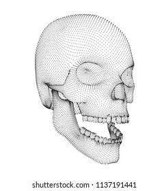 vector human skull. volume of points and polygons. the concept of death and horror. holiday of the day of the dead and Halloween