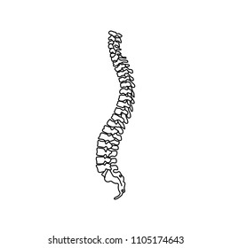 Vector human spine isolated silhouette illustration. Spine pain medical center, clinic, institute, rehabilitation, diagnostic, surgery logo element. Spinal icon symbol design. Concept of scoliosis