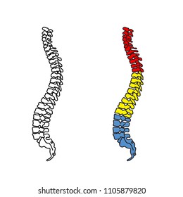 Vector human spine isolated silhouette illustration. Spine pain medical center, clinic, institute, rehabilitation, diagnostic, surgery logo element. Spinal icon symbol design. Concept of scoliosis