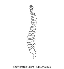 Vector human spine isolated silhouette illustration. Spine pain medical center, clinic, institute, rehabilitation, diagnostic, surgery logo element. Spinal icon symbol design. Concept of scoliosis