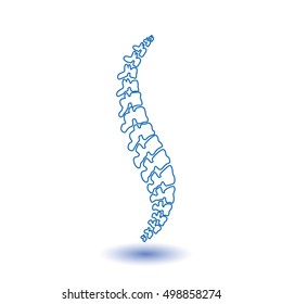 spine silhouette vector