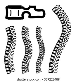 vector human spine silhouettes - vertebra brush