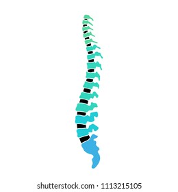 Vector human spine structure isolated silhouette illustration poster with cervical, thoracic, lumbar, sacrum, coccyx vertebrae. Medical logo element. Vertebra icon symbol design. Concept of scoliosis