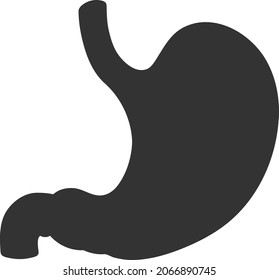 Vector human stomach icon isolated on white background. Vector illustration