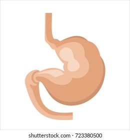 Vector human stomach icon isolated on white background