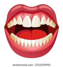 Vector of human teeth on white background.