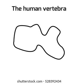 Vector  human vertebra isolated silhouette illustration. Spine pain medical center, clinic, institute, rehabilitation, diagnostic, surgery logo element. Spinal icon symbol design. Concept of scoliosis