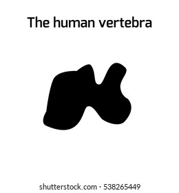 Vector  human vertebra isolated silhouette illustration. Spine pain medical center, clinic, institute, rehabilitation, diagnostic, surgery logo element. Spinal icon symbol design. Concept of scoliosis