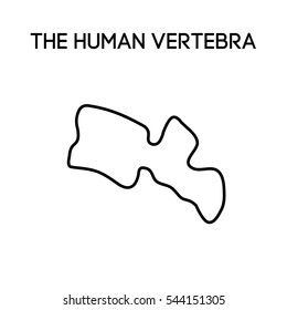 Vector  human vertebra isolated silhouette illustration. Spine pain medical center, clinic, institute, rehabilitation, diagnostic, surgery logo element. Spinal icon symbol design. Concept of scoliosis